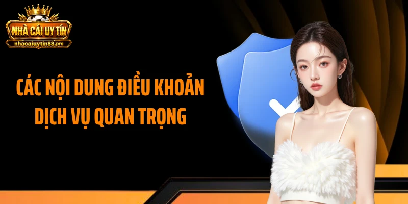 Các nội dung điều khoản dịch vụ quan trọng