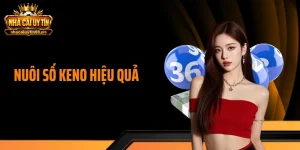 Nuôi Số Keno Hiệu Quả - Bí Kíp Tăng Cơ Hội Thắng Lớn