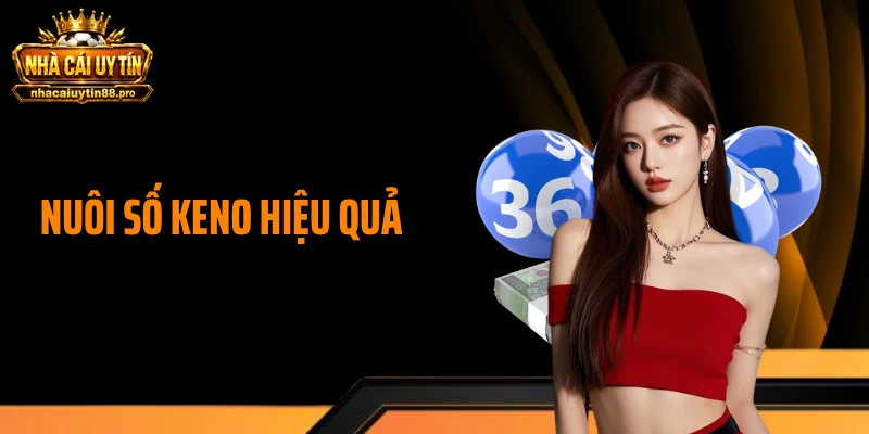 Nuôi Số Keno Hiệu Quả - Bí Kíp Tăng Cơ Hội Thắng Lớn