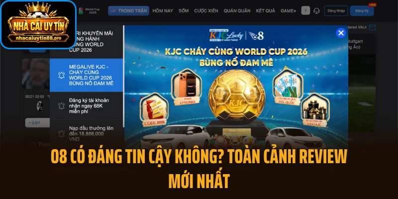 O8 Có Đáng Tin Cậy Không? Toàn Cảnh Review Mới Nhất