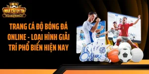Trang Cá Độ Bóng Đá Online - Loại Hình Giải Trí Phổ Biến Hiện Nay